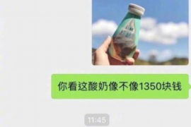 茶陵专业要账公司